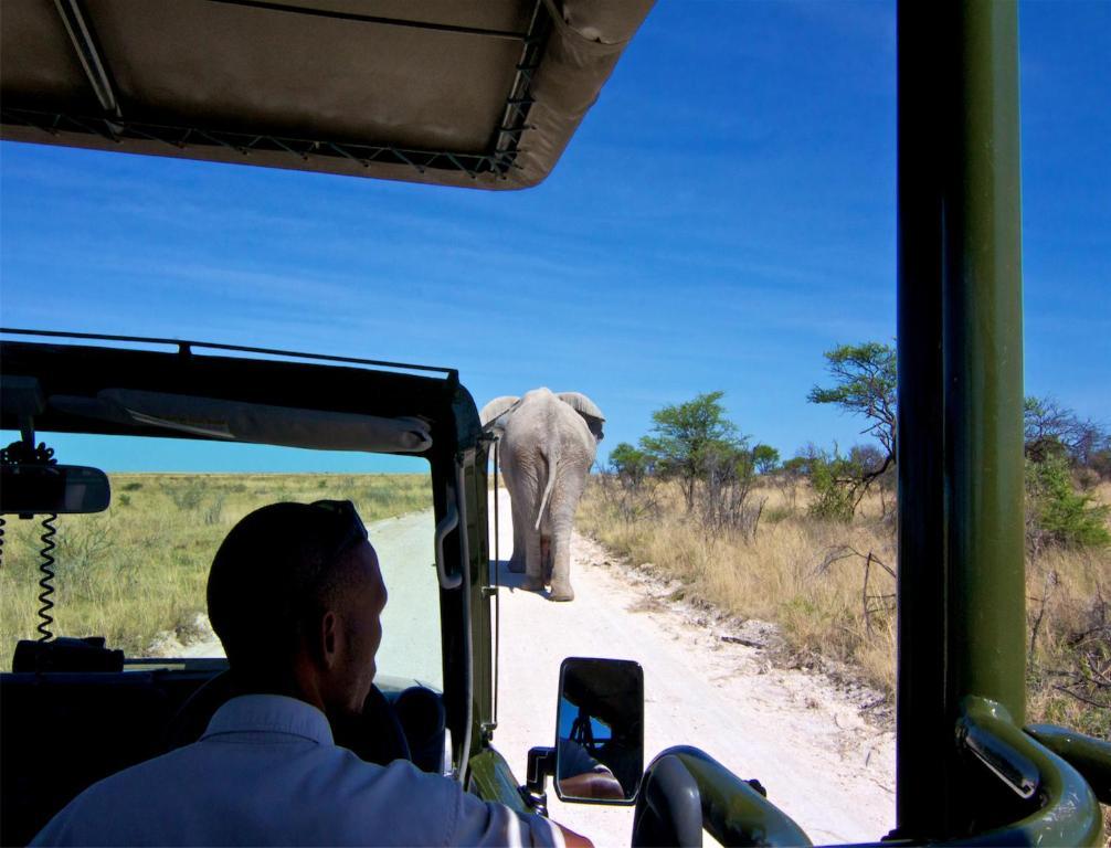 Mokuti Etosha Lodge Namutoni Eksteriør bilde