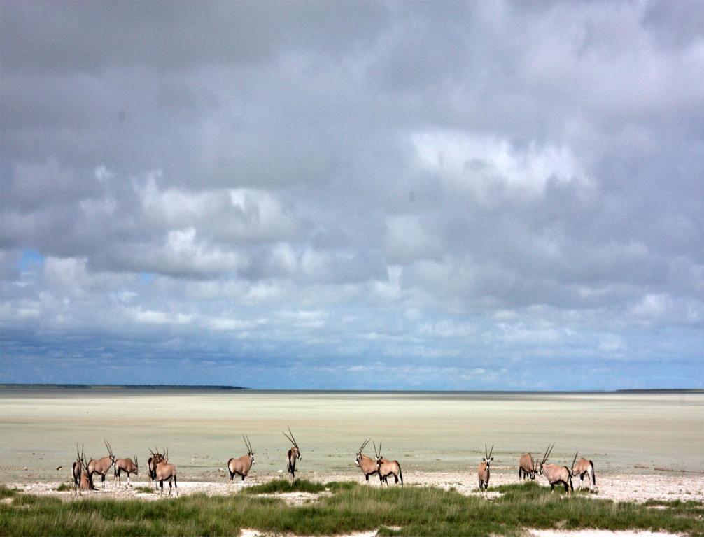 Mokuti Etosha Lodge Namutoni Eksteriør bilde