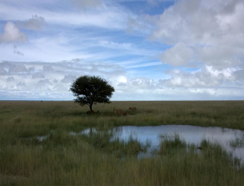 Mokuti Etosha Lodge Namutoni Eksteriør bilde